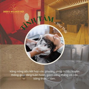TĨNH TÂM THƯ THÁI