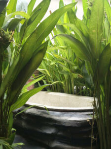 Tắm Khoáng Bồn Riêng