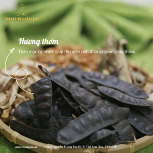 hương thảo mộc